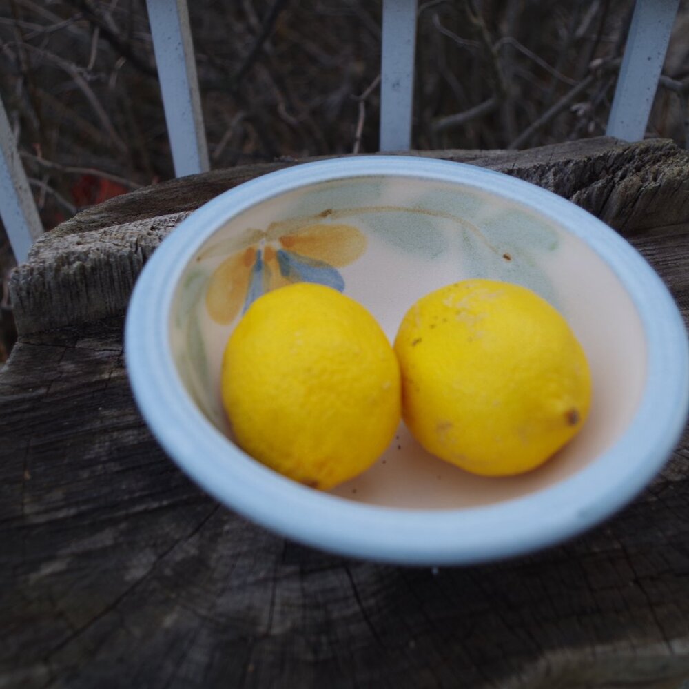 Cute Blue and Cream and Yellow  Art Pottery Signed Bowl